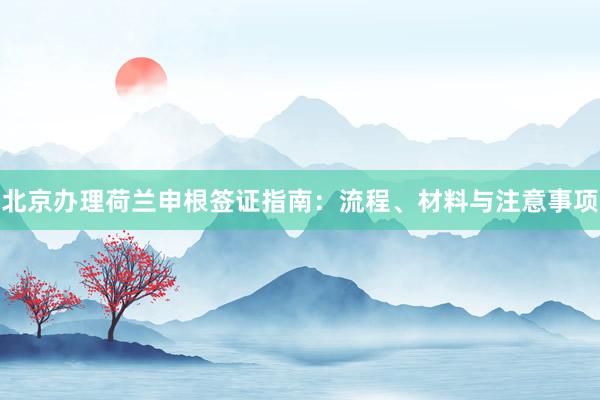 北京办理荷兰申根签证指南：流程、材料与注意事项